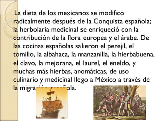 La dieta de los mexicanos se modifico radicalmente después de la Conquista española; la herbolaria medicinal se enriqueció con la contribución de la flora europea y el árabe. De las cocinas españolas salieron el perejil, el tomillo, la albahaca, la manzanilla, la hierbabuena, el clavo, la mejorana, el laurel, el eneldo, y muchas más hierbas, aromáticas, de uso culinario y medicinal llego a México a través de la migración española.  