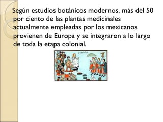 Según estudios botánicos modernos, más del 50 por ciento de las plantas medicinales actualmente empleadas por los mexicanos provienen de Europa y se integraron a lo largo de toda la etapa colonial.  