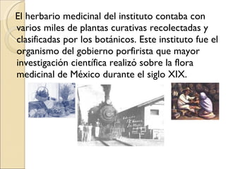 El herbario medicinal del instituto contaba con varios miles de plantas curativas recolectadas y clasificadas por los botánicos. Este instituto fue el organismo del gobierno porfirista que mayor investigación científica realizó sobre la flora medicinal de México durante el siglo XIX. 