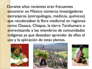 Durante años recientes eran frecuentes encontrar en México números investigadores extranjeros (antropólogos, médicos, químicos) que recolectaban la flora medicinal en regiones como Oaxaca, Chiapas, la tierra Tarahumara o entrevistando a los miembros de comunidades indígenas ya que deseaban aprender de ellos el uso y la aplicación de estas plantas. 
