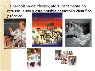 La herbolaria de México, afortunadamente no esta tan lejana a este notable desarrollo científico y técnico.  