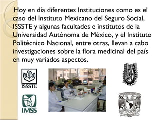 Hoy en día diferentes Instituciones como es el caso del Instituto Mexicano del Seguro Social, ISSSTE y algunas facultades e institutos de la Universidad Autónoma de México, y el Instituto Politécnico Nacional, entre otras, llevan a cabo investigaciones sobre la flora medicinal del país en muy variados aspectos. 