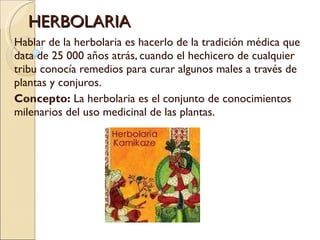 HERBOLARIA Hablar de la herbolaria es hacerlo de la tradición médica que data de 25 000 años atrás, cuando el hechicero de cualquier tribu conocía remedios para curar algunos males a través de plantas y conjuros.  Concepto:  La herbolaria es el conjunto de conocimientos milenarios del uso medicinal de las plantas. 