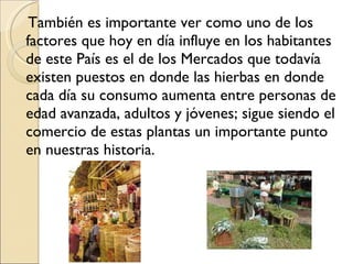 También es importante ver como uno de los factores que hoy en día influye en los habitantes de este País es el de los Mercados que todavía existen puestos en donde las hierbas en donde cada día su consumo aumenta entre personas de edad avanzada, adultos y jóvenes; sigue siendo el comercio de estas plantas un importante punto en nuestras historia. 