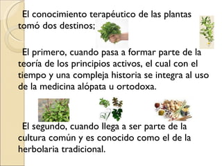 El conocimiento terapéutico de las plantas tomó dos destinos;  El primero, cuando pasa a formar parte de la teoría de los principios activos, el cual con el tiempo y una compleja historia se integra al uso de la medicina alópata u ortodoxa.  El segundo, cuando llega a ser parte de la cultura común y es conocido como el de la herbolaria tradicional. 