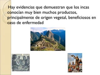 Hay evidencias que demuestran que los incas conocían muy bien muchos productos, principalmente de origen vegetal, beneficiosos en caso de enfermedad 