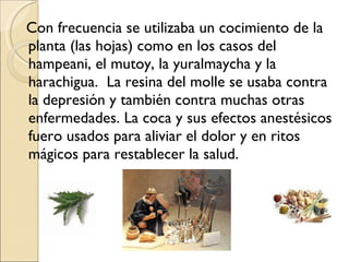 Con frecuencia se utilizaba un cocimiento de la planta (las hojas) como en los casos del hampeani, el mutoy, la yuralmaycha y la harachigua.  La resina del molle se usaba contra la depresión y también contra muchas otras enfermedades. La coca y sus efectos anestésicos fuero usados para aliviar el dolor y en ritos mágicos para restablecer la salud. 