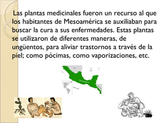 Las plantas medicinales fueron un recurso al que los habitantes de Mesoamérica se auxiliaban para buscar la cura a sus enfermedades. Estas plantas se utilizaron de diferentes maneras, de ungüentos, para aliviar trastornos a través de la piel; como pócimas, como vaporizaciones, etc. 