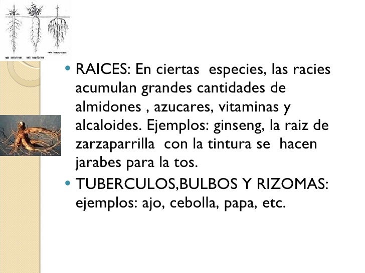 La fuerza del emperador del precio en kazahstane