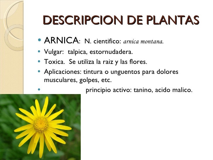 Herbolaria Cocoxcalli