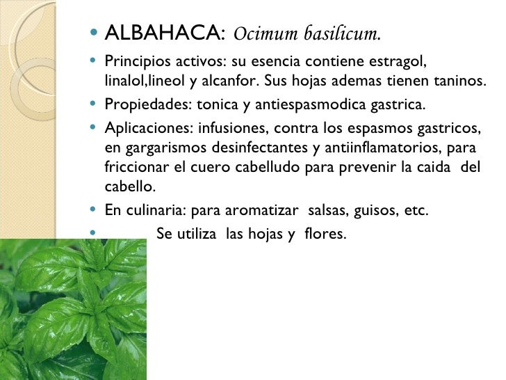 Las revocaciones el medio para el volumen de los cabello