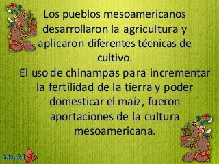 Los pueblos mesoamericanos
desarrollaron la agricultura y
aplicaron diferentes técnicas de
cultivo.
El uso de chinampas pa...