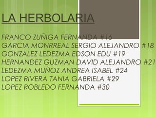 LA HERBOLARIA
FRANCO ZUÑIGA FERNANDA #16
GARCIA MONRREAL SERGIO ALEJANDRO #18
GONZALEZ LEDEZMA EDSON EDU #19
HERNANDEZ GUZMAN DAVID ALEJANDRO #21
LEDEZMA MUÑOZ ANDREA ISABEL #24
LOPEZ RIVERA TANIA GABRIELA #29
LOPEZ ROBLEDO FERNANDA #30
 