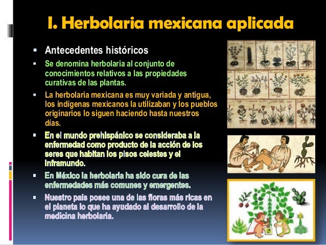 Herbolaria mexicana antecedentes i