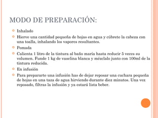 MODO DE PREPARACIÓN:
 Inhalado
 Hierve una cantidad pequeña de hojas en agua y cúbrete la cabeza con
una toalla, inhalando los vapores resultantes.
 Pomada
 Calienta 1 litro de la tintura al baño maría hasta reducir 5 veces su
volumen. Funde 1 kg de vaselina blanca y mézclalo junto con 100ml de la
tintura reducida.
 En infusión
 Para prepararte una infusión has de dejar reposar una cuchara pequeña
de hojas en una taza de agua hirviendo durante diez minutos. Una vez
reposado, filtras la infusión y ya estará lista beber.
 