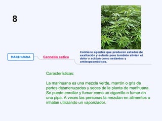 Características:
La marihuana es una mezcla verde, marrón o gris de
partes desmenuzadas y secas de la planta de marihuana.
Se puede enrollar y fumar como un cigarrillo o fumar en
una pipa. A veces las personas la mezclan en alimentos o
inhalan utilizando un vaporizador.
8
 