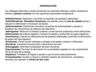INTRODUCCIÓN
Los hallazgos obtenidos a través del tiempo han permitido distinguir amplia variedad de
hierbas y plantas curativas con las siguientes propiedades terapéuticas:
-Antihelmínticas: Destruyen y permiten la expulsión de parásitos intestinales.
-Antiinflamatorias: Remedios herbolarios con plantas como la cola de caballo alivian o
reducen la inflamación o hinchazón de tejidos.
-Antimicrobianas: Exterminan microbios causantes de enfermedades y ayudan a
fortalecer los mecanismos de defensa del organismo.
-Astringentes: Reducen la irritación cutánea y crean barrera protectora contra infecciones.
-Estimulantes del sistema digestivo: Inducen el apetito y producción de jugos digestivos.
-Carminativas: Calman la inflamación de las paredes intestinales y permiten la eliminación
de gases del tubo digestivo.
-Emolientes: Tienen acción antiácida y protege a los tejidos irritados o inflamados.
-Diuréticas: Aumentan la producción y eliminación de orina.
-Emenagogas: Estimulan la expulsión del flujo menstrual.
-Expectorantes: Permiten la eliminación de mucosidades alojadas en vías respiratorias.
Tal es el caso de la acelga.
-Hepáticas: Fortalecen al hígado y ayudan a que funcione adecuadamente.
-Tranquilizantes: Ayudan a reducir y controlar estados de nerviosismo, ansiedad e
inquietud, por ejemplo, la hierba de San Juan.
 