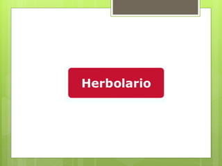 Herbolario123