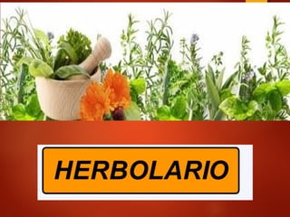 Herbolariocd