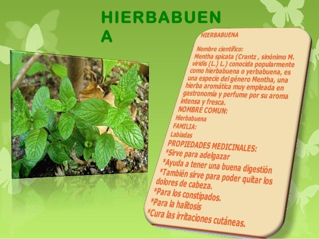 Herbolario Plantas Medicinales