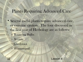 Herbology | PPT | Holistic Health | Alternative Medicine
