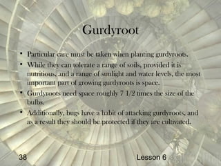 Gurdyroot Herbology | PPT