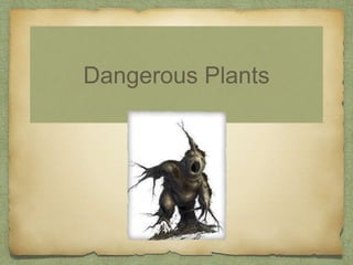 Dangerous Plants
 