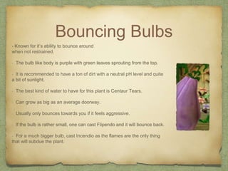 Bouncing Bulbs
- Known for it’s ability to bounce around
when not restrained.
- The bulb like body is purple with green leaves sprouting from the top.
- It is recommended to have a ton of dirt with a neutral pH level and quite
a bit of sunlight.
- The best kind of water to have for this plant is Centaur Tears.
- Can grow as big as an average doorway.
- Usually only bounces towards you if it feels aggressive.
- If the bulb is rather small, one can cast Flipendo and it will bounce back.
- For a much bigger bulb, cast Incendio as the flames are the only thing
that will subdue the plant.
 