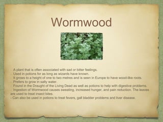 Wormwood
- A plant that is often associated with sad or bitter feelings.
- Used in potions for as long as wizards have known.
- It grows to a height of one to two metres and is seen in Europe to have wood-like roots.
- Prefers to grow in salty water.
- Found in the Draught of the Living Dead as well as potions to help with digestive problems.
- Ingestion of Wormwood causes sweating, increased hunger, and pain reduction. The leaves
are used to treat insect bites.
- Can also be used in potions to treat fevers, gall bladder problems and liver disease.
 