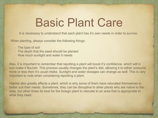 Basic Plant Care
It is necessary to understand that each plant has it’s own needs in order to survive.
When planting, always consider the following things:
- The type of soil
- The depth that the seed should be planted
- How much sunlight and water it needs
Also, it is important to remember that repotting a plant will boost it’s confidence, which will in
turn make it flourish. This process usually changes the plant’s diet, allowing it to either consume
more or less then it’s usual intake. Sunlight and water dosages can change as well. This is very
important to note when considering repotting a plant.
Habitat also greatly affects a plant, which is why some of them have relocated themselves to
better suit their needs. Sometimes, they can be disruptive to other plants who are native to the
area, but other times its best for the foreign plant to relocate to an area that is appropriate to
what they need.
 