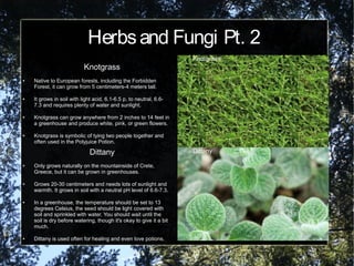 Herbsand Fungi Pt. 2
Knotgrass
● Native to European forests, including the Forbidden
Forest, it can grow from 5 centimeters-4 meters tall.
● It grows in soil with light acid, 6.1-6.5 p, to neutral, 6.6-
7.3 and requires plenty of water and sunlight.
● Knotgrass can grow anywhere from 2 inches to 14 feet in
a greenhouse and produce white, pink, or green flowers.
● Knotgrass is symbolic of tying two people together and
often used in the Polyjuice Potion.
Knotgrass
DittanyDittany
● Only grows naturally on the mountainside of Crete,
Greece, but it can be grown in greenhouses.
● Grows 20-30 centimeters and needs lots of sunlight and
warmth. It grows in soil with a neutral pH level of 6.6-7.3.
● In a greenhouse, the temperature should be set to 13
degrees Celsius, the seed should be light covered with
soil and sprinkled with water. You should wait until the
soil is dry before watering, though it's okay to give it a bit
much.
● Dittany is used often for healing and even love potions.
 