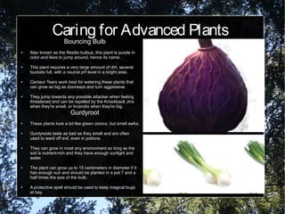 Caring for Advanced Plants
Bouncing Bulb
● Also known as the Resilio bulbus, this plant is purple in
color and likes to jump around, hence its name.
● This plant requires a very large amount of dirt, several
buckets full, with a neutral pH level in a bright area.
● Centaur Tears work best for watering these plants that
can grow as big as doorways and turn aggressive.
● They jump towards any possible attacker when feeling
threatened and can be repelled by the Knockback Jinx
when they're small, or Incendio when they're big.
Bouncing Bulb
Gurdyroot
Gurdyroot
● These plants look a lot like green onions, but smell awful.
● Gurdyroots taste as bad as they smell and are often
used to ward off evil, even in potions.
● They can grow in most any environment so long as the
soil is nutrient-rich and they have enough sunlight and
water.
● The plant can grow up to 15 centimeters in diameter if it
has enough sun and should be planted in a pot 7 and a
half times the size of the bulb.
● A protective spell should be used to keep magical bugs
at bay.
 