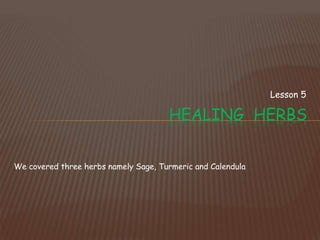Lesson 5
HEALING HERBS
We covered three herbs namely Sage, Turmeric and Calendula
 