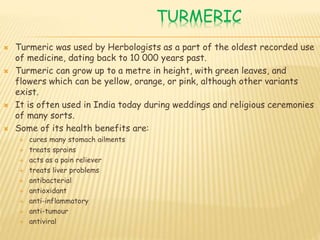 TURMERIC
 Turmeric was used by Herbologists as a part of the oldest recorded use
of medicine, dating back to 10 000 years past.
 Turmeric can grow up to a metre in height, with green leaves, and
flowers which can be yellow, orange, or pink, although other variants
exist.
 It is often used in India today during weddings and religious ceremonies
of many sorts.
 Some of its health benefits are:
 cures many stomach ailments
 treats sprains
 acts as a pain reliever
 treats liver problems
 antibacterial
 antioxidant
 anti-inflammatory
 anti-tumour
 antiviral
 