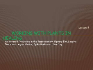 Lesson 8
WORKING WITH PLANTS IN
HEALING
We covered five plants in this lesson namely Slippery Elm, Leaping
Toadstools, Agnus Castus, Spiky Bushes and Comfrey
 