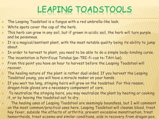 LEAPING TOADSTOOLS
 The Leaping Toadstool is a fungus with a red umbrella-like look.
 White spots cover the cap of the herb.
 This herb can grow in any soil, but if grown in acidic soil, the herb will turn purple
and be poisonous.
 It is a magical/sentient plant, with the most notable quality being its ability to jump
about.
 In order to harvest to plant, you need to be able to do a simple body-binding curse.
 The incantation is Petrificus Totalus (pe-TRI-fi-cus to-TAH-lus).
 From this point you have an hour to harvest before the Leaping Toadstool will
recover.
 The healing nature of the plant is rather dual-sided. If you harvest the Leaping
Toadstool young, you will have a miracle maker on your hands.
 If you wait too long, stinging hairs will grow on the toadstool. For this reason,
dragon-hide gloves are a necessary component of care.
 To neutralize the stinging hairs, you may neutralize the plant by heating or cooking
it, or by leaving the toadstool out to dry.
 The healing uses of Leaping Toadstool are seemingly boundless, but I will comment
on the most common/practical uses here. Leaping Toadstool will cleanse blood, treat
hay fever, subside the effects of arthritis, prevent excessive menstruation, treat
hemorrhoids, treat eczema and similar conditions, aids in recovery from dragon pox,
 