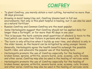 COMFREY
 To plant Comfrey, you merely obtain a root cutting, harvested no more than
38 days previous.
 Growing in moist loamy/clay soil, Comfrey blooms best in full sun
environments. Not only is this plant helpful in healing, but it can also be used
as a natural fertilizer.
 Russian Comfrey and Common Comfrey are the most popular.
 Some Herbologists suggest that Comfrey should not be applied daily for
longer than a fortnight, or for more than 40 days in one year.
 This is because the herb contains small quantities of alkaloid (a toxin to the
liver),which can cause liver failure in persons who have a weak liver.
 The toxin is only effective when it builds up over time, and alkaloid is only in
the older leaves, so the hazard can be mitigated by using younger leaves.
 Generally, Herbologists agree the health benefits outweigh the possible
health risks, and advocate the popular use of this healing herb.
 Herbologists promote the use of Comfrey especially for the healing of
broken bones, sprains, arthritis, severe burns, acne, eczema, cuts, bruises,
and other sores. Comfrey may also be used in the healing of varicose veins.
 Herbologists promote the use of Comfrey especially for the healing of
broken bones, sprains, arthritis, severe burns, acne, eczema, cuts, bruises,
and other sores. Comfrey may also be used in the healing of varicose veins.
 