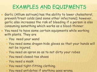 EXAMPLES AND EQUIPMENTS
 Garlic (Allium sativum) has the ability to lower cholesterol,
prevent/treat colds (and some other infections); however,
garlic also increases the risk of bleeding if a person is also
consuming something which works as a blood-thinner.
 You need to have some certain equipments while working
with plants. They are
 You need your wand
 You need some dragon-hide gloves so that your hands will
not be injured.
 You need an apron so as to not dirty your robes
 You need closed-toe shoes
 You need a mask
 You need tight-fitting clothing.
 You need antidotes if anything goes wrong.
 