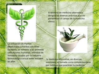 El término de medicina alternativa designa las diversas prácticas que no pertenecen al campo de la medicina clínica.La utilización de Plantas Medicinales o hierbas con fines curativos, se remonta a las primeras civilizaciones humanas, infinidad de remedios creados por la industria farmacológica actual están basados en ellas. la medicina alternativa, en diversas ocasiones, es tomada como complementaria por médicos que practican la medicina convencional. 