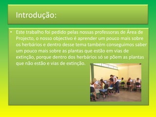 Introdução:Este trabalho foi pedido pelas nossas professoras de Área de Projecto, o nosso objectivo é aprender um pouco mais sobre os herbários e dentro desse tema também conseguimos saber um pouco mais sobre as plantas que estão em vias de extinção, porque dentro dos herbários só se põem as plantas que não estão e vias de extinção.