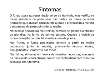 Sintomas
O fungo ataca qualquer órgão aéreo da berinjela, mas verifica-se
maior incidência na parte nova das hastes, na forma de áreas
necróticas que acabam circundando o caule e provocando a murcha
e secamento da parte acima dessa região.
Nos tecidos necrosados mais velhos, constata-se grande quantidade
de picnídios, na forma de pontos escuros. Quando a incidência
ocorre na região do colo, há murcha e seca da planta.
Nos frutos, o fungo geralmente penetra a partir da região
peduncular, junto às sépalas, provocando necrose escura,
enrugamento e secamento dos frutos.
Nas folhas, sintomas em forma de manchas necróticas, contendo
ou não círculos concêntricos, podem ser confundidos com manchas
causadas por Alternaria.
Manual de Fitopatologia, vol.2, p. 622, 1997
 