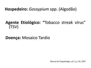 Hospedeiro: Gossypium spp. (Algodão)
Agente Etiológico: “Tobacco streak vírus”
(TSV)
Doença: Mosaico Tardio
Manual de Fitopatologia, vol. 2, p. 42, 1997
 