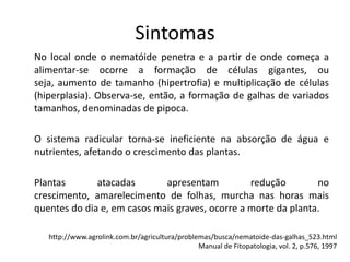 Sintomas
No local onde o nematóide penetra e a partir de onde começa a
alimentar-se ocorre a formação de células gigantes, ou
seja, aumento de tamanho (hipertrofia) e multiplicação de células
(hiperplasia). Observa-se, então, a formação de galhas de variados
tamanhos, denominadas de pipoca.
O sistema radicular torna-se ineficiente na absorção de água e
nutrientes, afetando o crescimento das plantas.
Plantas atacadas apresentam redução no
crescimento, amarelecimento de folhas, murcha nas horas mais
quentes do dia e, em casos mais graves, ocorre a morte da planta.
http://www.agrolink.com.br/agricultura/problemas/busca/nematoide-das-galhas_523.html
Manual de Fitopatologia, vol. 2, p.576, 1997
 