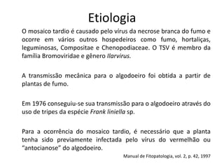 Etiologia
O mosaico tardio é causado pelo vírus da necrose branca do fumo e
ocorre em vários outros hospedeiros como fumo, hortaliças,
leguminosas, Compositae e Chenopodiaceae. O TSV é membro da
família Bromoviridae e gênero Ilarvirus.
A transmissão mecânica para o algodoeiro foi obtida a partir de
plantas de fumo.
Em 1976 conseguiu-se sua transmissão para o algodoeiro através do
uso de tripes da espécie Frank liniella sp.
Para a ocorrência do mosaico tardio, é necessário que a planta
tenha sido previamente infectada pelo vírus do vermelhão ou
“antocianose” do algodoeiro.
Manual de Fitopatologia, vol. 2, p. 42, 1997
 