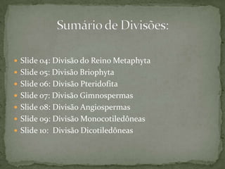 Slide 04: Divisão do Reino MetaphytaSlide 05: Divisão BriophytaSlide 06: Divisão PteridofitaSlide 07: Divisão GimnospermasSlide 08: Divisão AngiospermasSlide 09: Divisão MonocotiledôneasSlide 10:  Divisão DicotiledôneasSumário de Divisões: