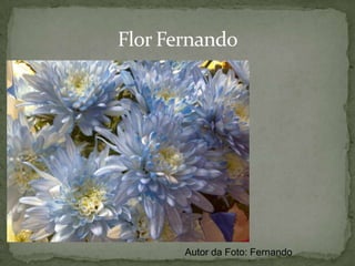 Órgãos como Medicamento - BabosaGênero Aloe:Principais propriedades medicinais: adstringente, anestésica, anticancerígena, anti-hemorrágica, antiinflamatório, antioftálmica, antí-pruritico, anti-séptica, antitóxico, bactericida, cicatrizante, colerética, dilatadora capilar, emoliente, estimulante granulatório, fungicida, hidratante, limpador natural, proteolítico e virucida.Autor da Foto: Fernando