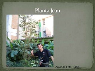 Adaptação à Ambiente SecoAs folhas dos cactos se adaptaram enrolando sobre si mesmas, formando espinhos extremamente duros e afiados, que além de evitar perda excessiva de água servem como proteção.Autor da Foto: Fábio