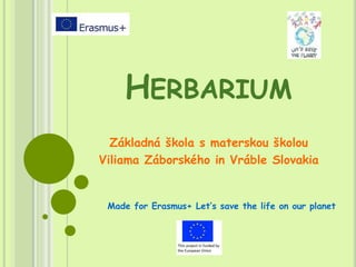 HERBARIUM
Základná škola s materskou školou
Viliama Záborského in Vráble Slovakia
Made for Erasmus+ Let‘s save the life on our planet
 