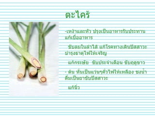 ตะไคร้ เหง้าและหัว ปรุงเป็นอาหารรับประทานแก้เบื่ออาหาร  ขับลมในลำไส้ แก้โรคทางเดินปัสสาวะ บำรุงธาตุไฟให้เจริญ  แก้กระษัย  ขับประจำเดือน ขับฤดูขาว ต้น หั่นเป็นแว่นๆคั่วไฟให้เหลือง ชงน้ำดื่มเป็นยาขับปัสสาวะ  แก้นิ่ว 