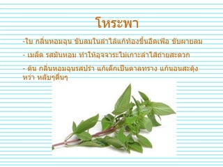 โหระพา ใบ กลิ่นหอมฉุน ขับลมในลำไล้แก้ท้องขึ้นอืดเฟ้อ ขับผายลม เมล็ด รสมันหอม ทำให้อุจจาระไม่เกาะลำไส้ถ่ายสะดวก ต้น กลิ่นหอมฉุนรสปร่า แก้เด็กเป็นตาลทราง แก้นอนสะดุ้งหว่า หลับๆตื่นๆ 